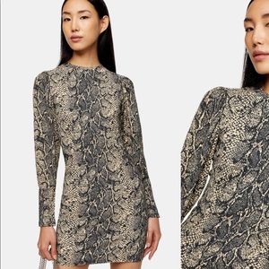 Never been worn snakeskin dress